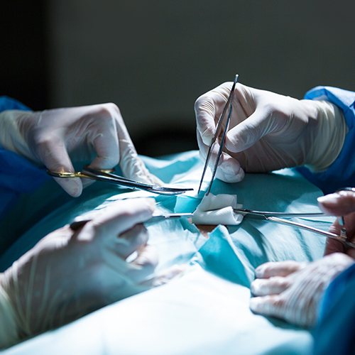 Orthopaedic Surgery